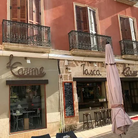 Apartamento Estudios Ramón Llull *
