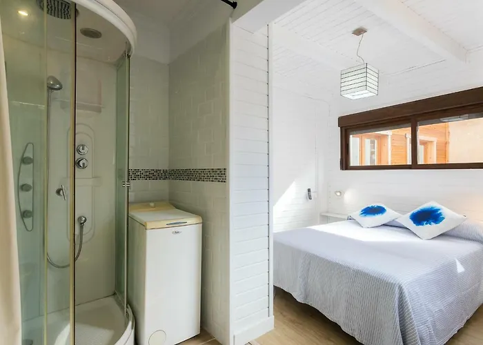 Estudios Ramon Llull * Denia