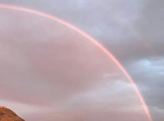 Apartamento Estudios Ramon Llull